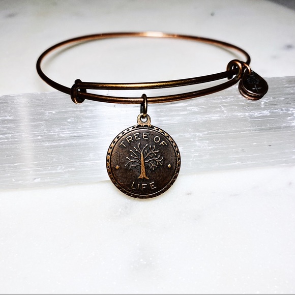 Alex and Ani “Tree of Life” Charm Bracelet - Picture 3 of 3